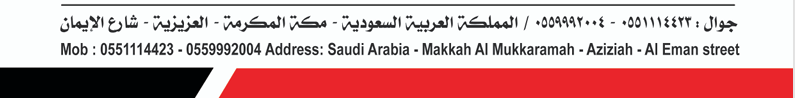 شركة انظمة المدينة
